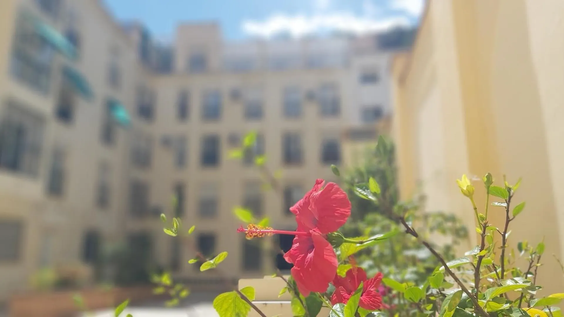 Del Parque Flats Victoria Family Apartment Malaga